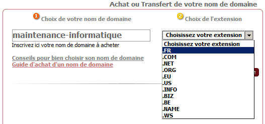 guide d'achat d'un nom de domaine avec extension